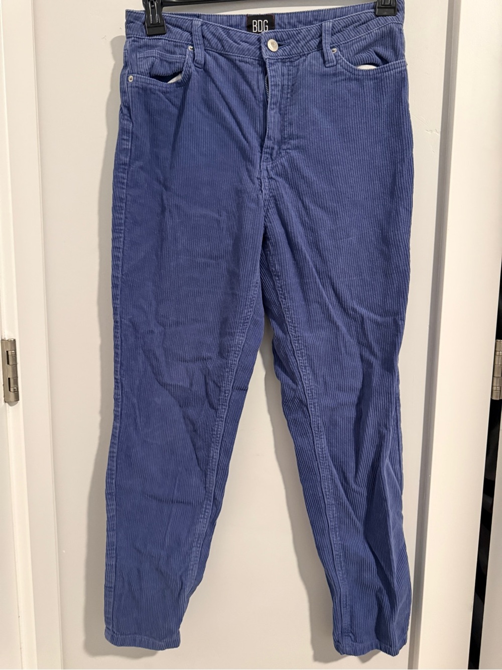 BDG CORDUROY WOMENS PANTS